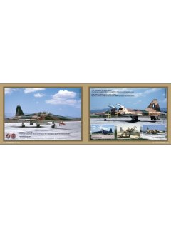 HAF 341 Squadron - 60 Years, Eagle Aviation