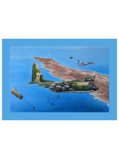 Aviation Art Painting HELLENIC WINGS OVER CYPRUS - Canvas print