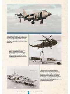 The Falklands War