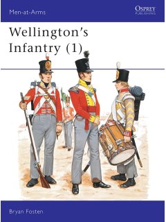 Wellington's Infantry (1)