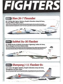 Air Forces Monthly 2013/04 (poster 25 YEARS OF FIGHTERS included)