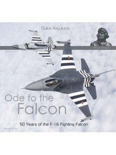 Ode to the Falcon