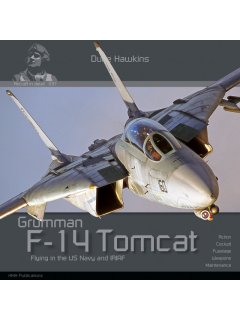 F-14 Tomcat