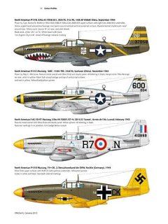 P-51 Early Mustang