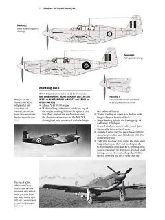 P-51 Early Mustang