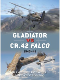 Gladiator vs CR.42 Falco