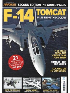 F-14 Tomcat - The Real Star of Top Gun