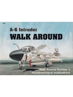 A-6 Intruder Walk Around